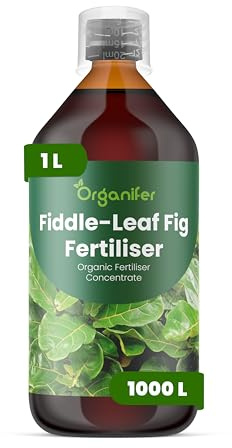 Fertilizzante Liquido 1L Per Fiddle Leaf - NPK 3-4-3 | Foglie E Fiori Luxurianti - Organifer