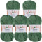 Wollidu Gina Chenille Garn zum Stricken und Häkeln 5 x 100g/120m Set 100% Polyester - Grün