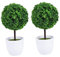 2pcs Small Plants for Decoration Artificial Bonsai & Boxwood Topiary with Pot for Office Decor Round Artificial Plants Fake Plants Decor Boxwood Tree Plant Ball Girl Man Table