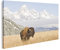 islandburner Prime Bild auf Leinwand Bison Grand Teton Berge Bilder Wandbilder Poster