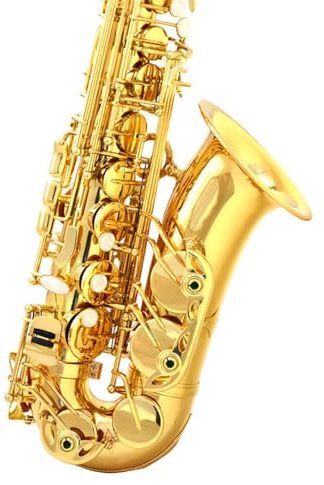 Saxophone für Musikliebhaber Altsaxophon in Es ein Anfängerinstrument für Erwachsene und Interpreten geeignet für Üben(Type 2)