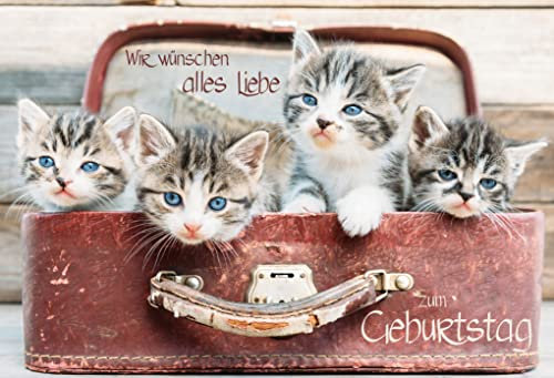 Edition Seidel Premium Geburtstagskarte mit Umschlag. Glückwunschkarte Grusskarte Billet Happy Birthday Mann Frau Kind Wir wünschen alles Liebe zum Geburtstag Katze Kätzchen Karte (G1846 SW023)