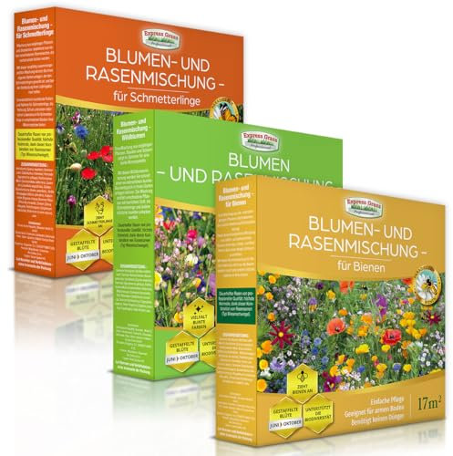 Mezcla de flores para abejas (17M2) - césped japonés (Lote de 3)