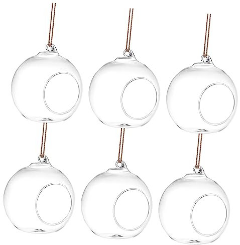 POPETPOP 6 Pièces Vase en Verre hydroponique Vase Rond Support de Terrarium pour Plantes Mini Terrarium Suspendu - Ornement de Table Appliques Suspendu Décoration d'intérieur Un Verre
