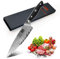 SHAN ZU Damastmesser Kochmesser, Profi Küchenmesser Japanisch Damaskus Chefmesser 67-Schicht Damaststahl AUS10 Stahl Sharp Damast Messer mit G10 Griff/Geschenkbox