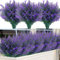 12 Bundles Buissons d'Arbustes Artificiels Fleurs Violet Fausse Lavande Plantes Décoration pour Maison Arrangement Floral Jardin Fenêtre