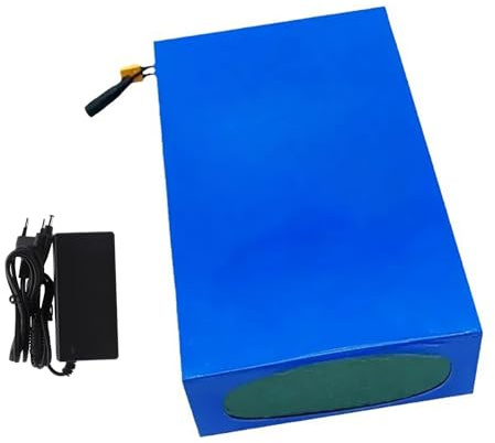 Batterie 48 V 20 Ah pour Vélo Électrique, Batterie Rechargeable avec Chargeur, Batterie Lithium Étanche pour Vélo Électrique, Kart Et Scooter. (48V 20AH),T+DC