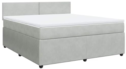 vidaXL Boxspringbett mit Matratze Hellgrau 180x200 cm Samt