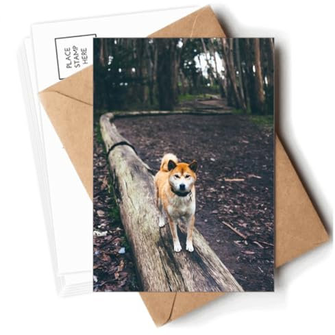 Postkarten mit japanischem Hund, Tier, Postkarten, Umschläge, blanko, Notizkarten, Versand