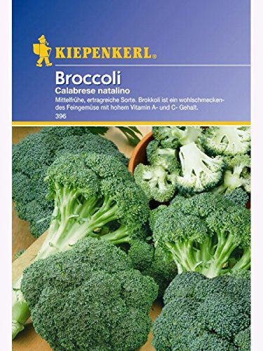 Kiepenkerl Brokkoli Calabrese natalino