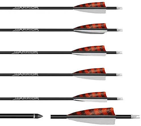 Franks-Castle 6 Stück Gold Tip Warrior Carbonpfeile Spine 700 mit 4 Naturfedern