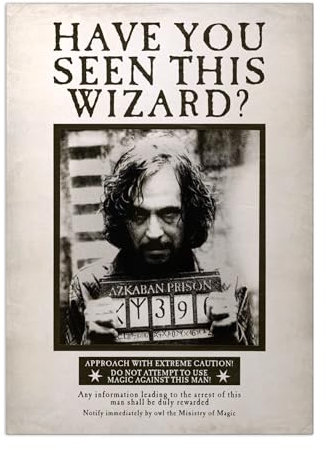 Displate Offiziell Harry Potter MetallPoster Magnetische Befestigung Inklusive Lizenziert Bilder Hochwertiges Poster Letters and Posters - Have you seen this wizard? 45 cm x 32 cm