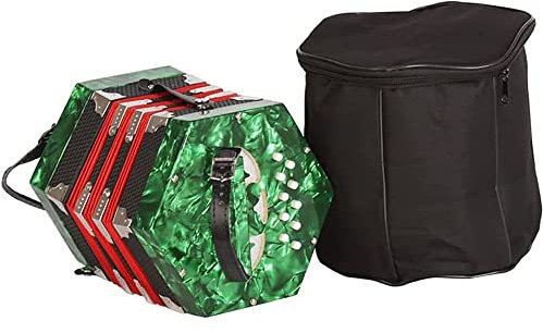 Akkordeon für Kinder, Erwachsene, Anfänger, professionelle 20-Tasten-Ziehharmonika, verstellbare Handschlaufe, mit Tragetasche, hochwertiges und Elegantes professionelles Akkordeon