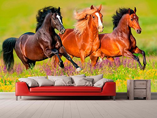 Fotomural Vinilo Para Pared Caballos | Fotomural para paredes | Mural | Vinilo Decorativo | Varias Medidas 200 x 150 cm | Decoración comedores, salones, habitaciones...