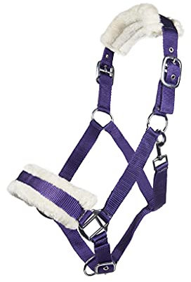 Posten Halfter-11796 dunkellila Pony
