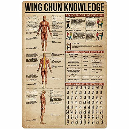 XVBCDFG Kung Fu Knowledge Blechschild Wing Chun Anatomie Infografik Poster Kampfsport Gym Club Zuhause Schlafzimmer Schule Bildung Wanddekoration Plakette