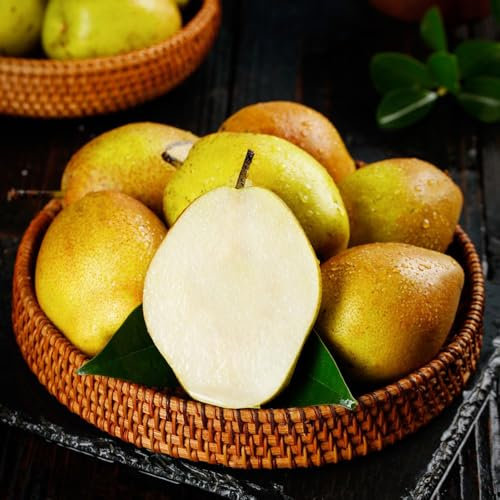 peral comprar semillas, peral - semillas de variedades antiguas, árboles frutales enanos semillas de peral semillas, semillas orgánicas plantas de jardín, plantas raras Balcón, plantas 200pcs