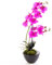 artplants.de Künstliche Orchidee Phalaenopsis Melina in Schale, 2 Zweige, violett, 45cm - Kunstblume - Kunstorchidee im Topf