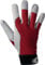 Handschuh EN388 Kat.II Gr. 10 Ziegennappa Handrücken rot Klettverschluss a.Karte