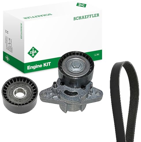 INA 529 0164 10 Keilrippenriemensatz 1750mm 6-Rippenanzahl Kompatibel mit RENAULT Clio 2 BB0/1/2, CB0/1/2 5000693140 7701477527 7700101261