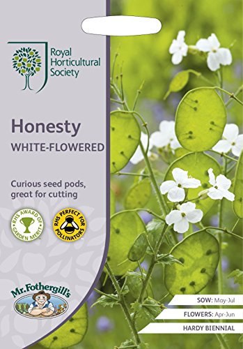 Mr Fothergills - Flower - RHS Honesty White-Flowered - 100 Seeds