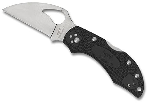 Spyderco Byrd Robin 2 Lockback Black