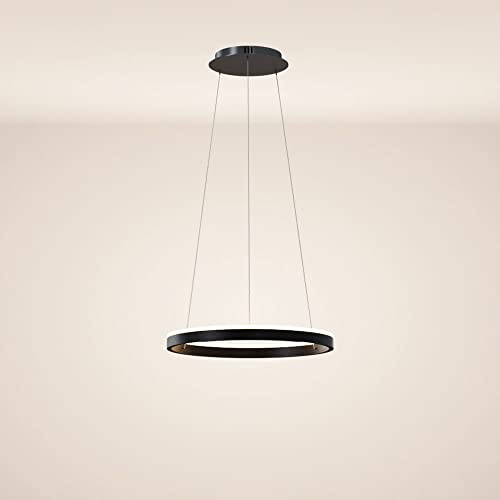 s.luce LED Ring Pendelleuchte rund Direkt oder Indirekt Hängelampe Wohnzimmerleuchte, Farbe:Schwarz, Größe:Ø 40cm