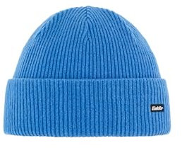Eisbär