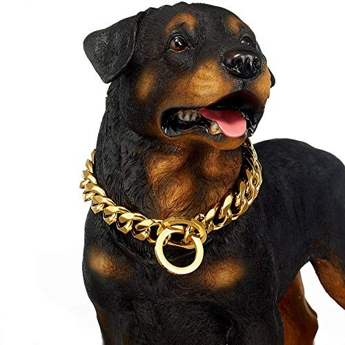 Hundhalsband, Hundehalsband groß 19 mm robust Edelstahl Gold große Hunde Würgehalsband Training Designer Halsband Halskette Kette perfekt