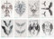 Lurrose Temporäre Tattoos - 8 Blatt Engel Aufkleber für Rücken, Brust, Arm und Körper - Wasserdicht, Groß und Gefälscht für Männer und Frauen - Halloween Cosplay