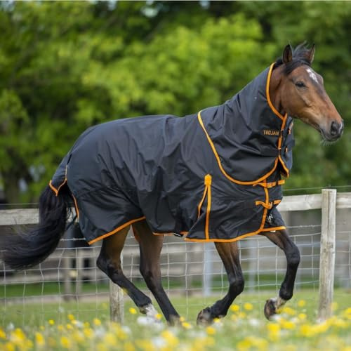 Gallop Equestrian Gallop Trojan Lightweight Dual 100g Horse Turnout Rug & Detachable Neck Set (5'9'', Black/Orange)