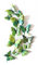 3D Schmetterlinge Doppelflügel Effekt Blumen 12er Set Dekoration Wandtattoo (Grün)