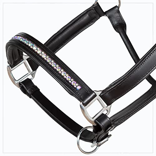 Heinick-Reitsport Qualitäts Lederhalfter ~ ProLine Dust Rainbow ~ Stallhalfter Halfter Strass Warmblut