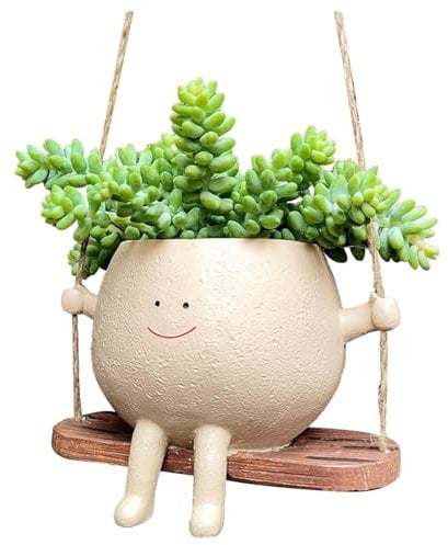 Winnsell Maceta colgante con cara oscilante, maceta colgante de cactus para interiores y exteriores, maceta decorativa para colgar en casa, oficina, balcón, jardín (GG)