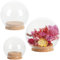 Belle Vous 3 Pack of Glass Dome Cloche Jars with Wooden Cork Bases - Small, Medium & Large Sizes - Clear Decorative Tabletop Display Cases with Trays for Fairy Lights, Centrepieces and Antiques
