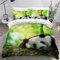 AKATIE Housse de Couette Panda Bambou Vert Parure de Lit 2 Personnes Qualité Supérieure Housse Couette avec Fermeture Eclair Doux Microfibre Housse de Couette 240×260