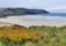 HANSEPUZZLE 20804 - Küste von Cornwall Puzzle 260 Teile | Natur Puzzle mit hochwertiger Puzzle Aufbewahrung: Kartonbox und wiederverschließbarem Beutel | Puzzle-Maße: 41 x 28,7 cm