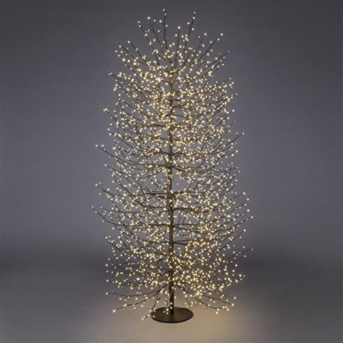 Magie di Natale Albero luminoso Faggio con rami a microled luce calda da interno ed esterno (210 cm, Nero)