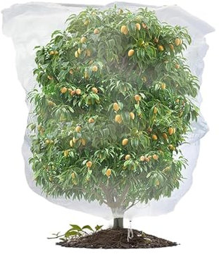 Fruit Tree Netting Bird Protection - Fine-meshed Insect Net with Drawstring, Bird Netting for Garden, Insect Bird Barrier Tree Net, for Small Bush Vegetables Strawberry Bush (1, 100x150cm)
