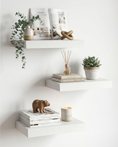 Amveya 3 Set Wandregal Schwebend Weiß 25x22cm Regalbrett Regale für Wände Regalbrett Wand Regal Regale Kleines Hängeregal Bücherregal Geeignet für Büros, Wohnzimmer, Schlafzimmer und Küchen (3, 25cm)