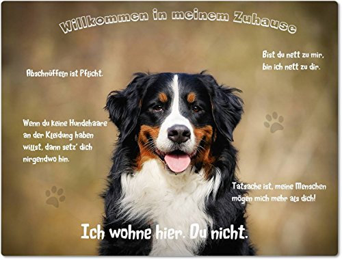 Merchandise for Fans Blechschild/Warnschild/Türschild - Aluminium - 15x20cm - - Willkommen in Meinem Zuhause - Motiv: Berner Sennenhund Porträt - 02