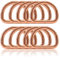 Ganzoo D - Ring aus Stahl, 10er Set, Innenmaß 26mm, Materialstärke 4mm, DIY Hunde-Halsband, nichtrostend, geschweißt, Ideal mit Paracord 550, Farbe Rose-Gold