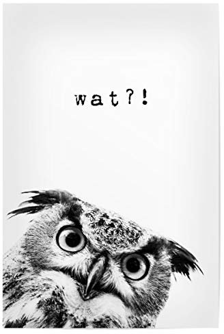 artboxONE Poster 30x20 cm Typografie Wat - Eule hochwertiger Design Kunstdruck - Bild Eule Arbeitsplatz Eule