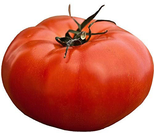 Graines Tomate Fournaise HF1- sachet de 0,1 grammes - Entreprise française - Graines de style