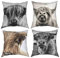 Highland Cow 4 Stück Kissenbezug,Dekokissen Dekor für Home Couch Auto Schlafzimmer Sofa,Kissenbezug,16x16 Zoll