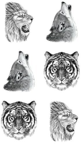 x3 Tatouage Éphémère mini lion, tigre et loup - 1 lot de 3 Feuilles de tatouage temporaire animaux | Bras, épaule, cou, cheville, main, jambe | Noir | Homme, Femme - TATTOO YOUR STYLE