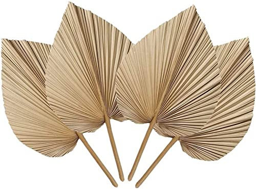 Uanratg 4 foglie di palma secche naturali, decorazione di foglie di palma, decorazione, decorazione per la casa, matrimoni