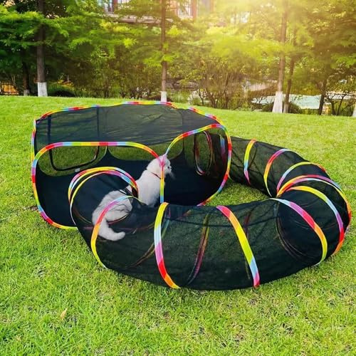 Enclos d'extérieur portable pour chat – Parc arc-en-ciel Catio avec tente et tunnels pour jeux d'intérieur et d'extérieur – Comprend un sac de rangement pour chats, chatons et petits animaux de