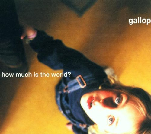 How Much Is the World?