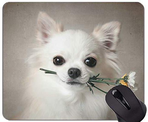 Mauspads, Gaming-Mauspad, Hundeblume - genähte Kanten